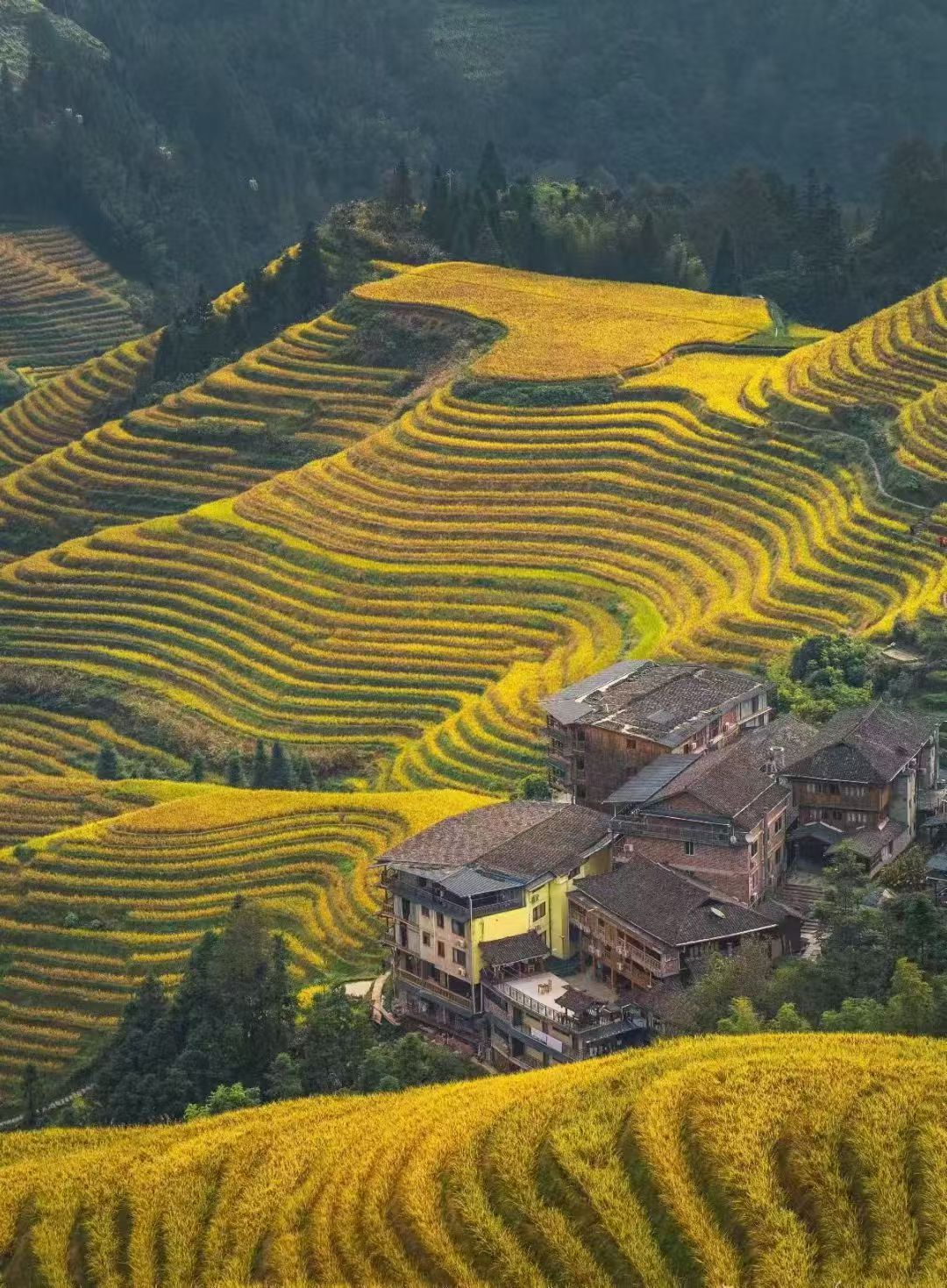 Guilin One-Day Tour: Longji Rice Terraces, Jinkeng Terraces & Huangluo Yao Village (8-person small group tour / customizable private tour) image 2