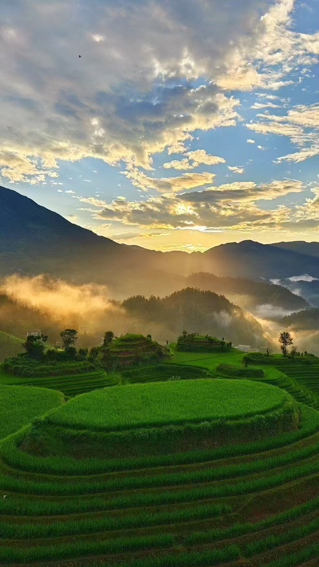 Guilin One-Day Tour: Longji Rice Terraces, Jinkeng Terraces & Huangluo Yao Village (8-person small group tour / customizable private tour) image 1