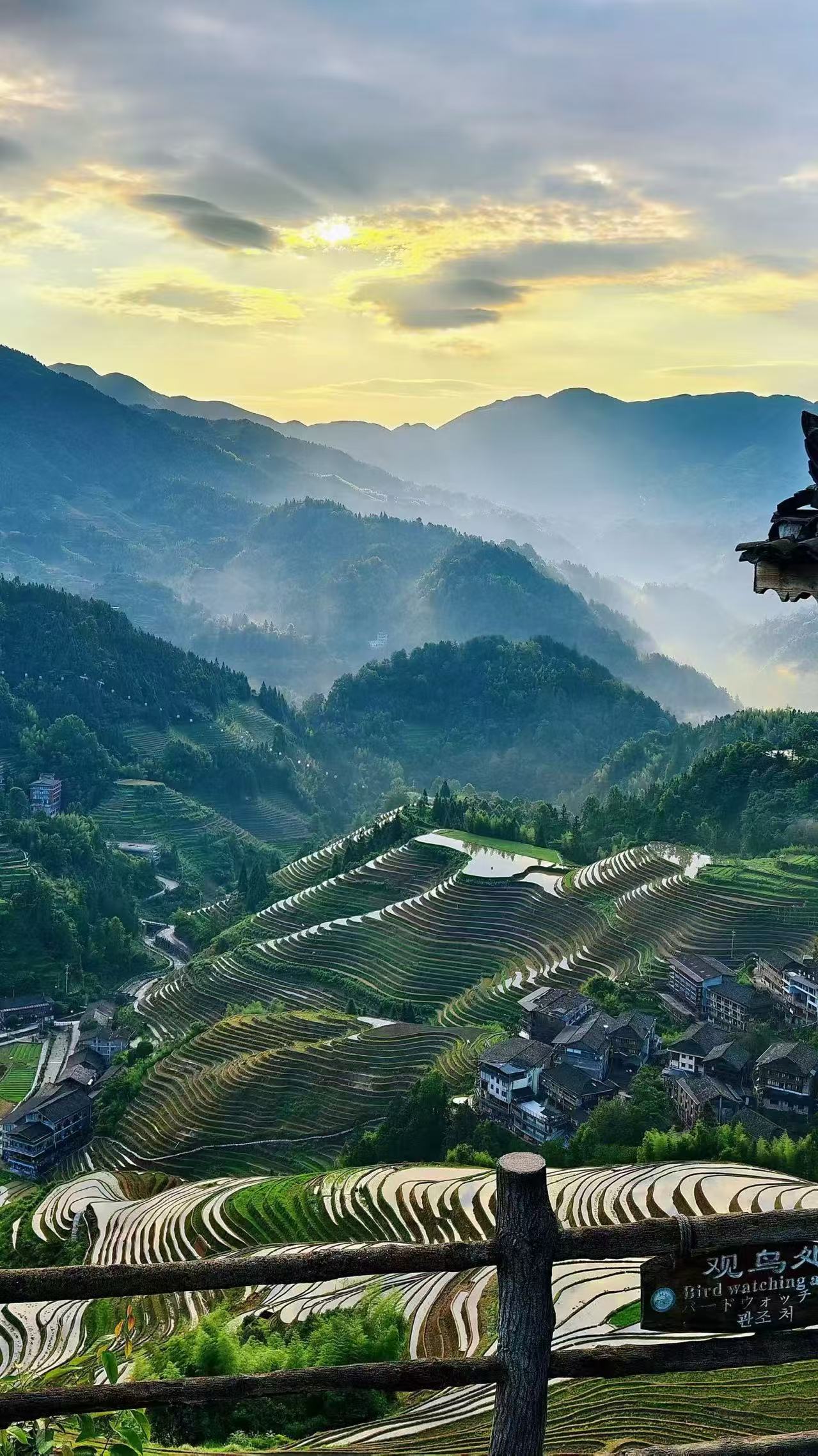 Guilin One-Day Tour: Longji Rice Terraces, Jinkeng Terraces & Huangluo Yao Village (8-person small group tour / customizable private tour) image 3